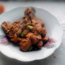 红烧鸭子的做法 红烧鸭子的做法