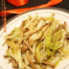 天津白烩茶树菇的做法 天津白烩茶树菇的做法