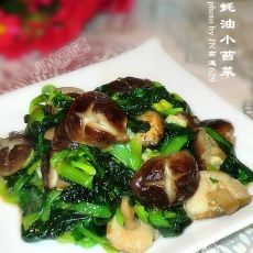 香菇蚝油小苔菜的做法 香菇蚝油小苔菜的做法