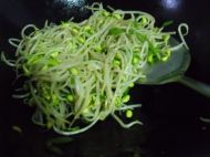 清炒豆芽的做法