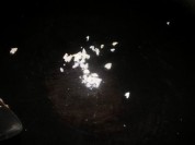 白焯芥兰的做法