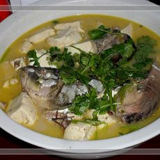 鲤鱼炖豆腐的做法 鲤鱼炖豆腐的做法