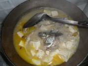 鲤鱼炖豆腐的做法