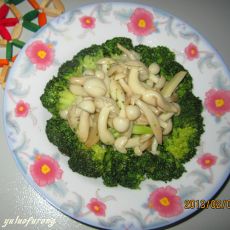 西兰花扒白玉菇的做法 西兰花扒白玉菇的做法