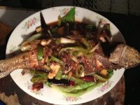 美味鲈鱼的做法