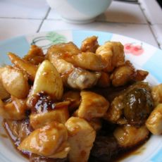 青梅鸡块的做法 青梅鸡块的做法