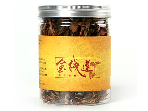 金线莲作用与功效