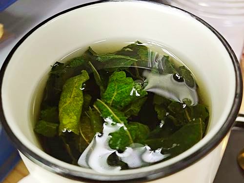 桑叶茶的功效与主治