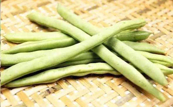 四季豆的功效和作用及食用禁忌
