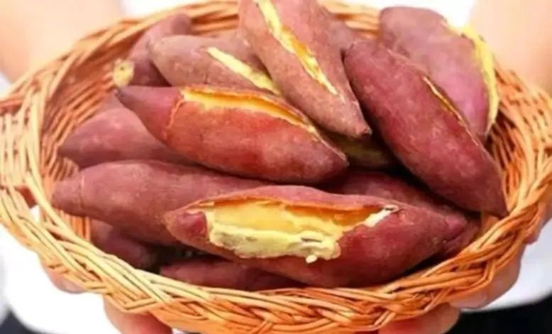 便秘常吃这6种菜，润肠排毒，一身轻松