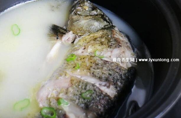 鲫鱼汤怎么炖好喝又营养