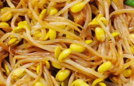豆芽怎么炒好吃又简单