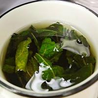 桑叶茶的功效与主治