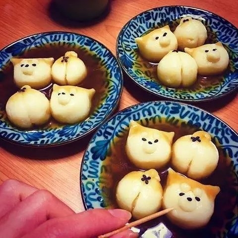 喜欢甜点的猫：柴犬饺子