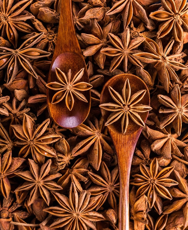 大茴香八角图片 八角是大茴香图片