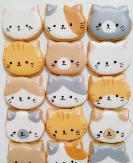 猫咪可以吃的美食有哪些 猫咪好吃的零食
