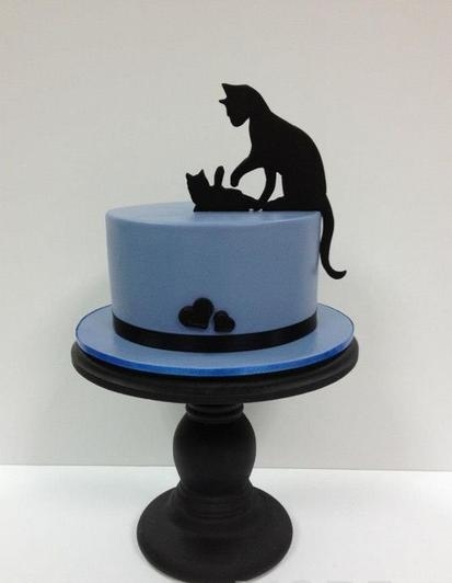 猫咪可以吃的美食有哪些 猫咪好吃的零食