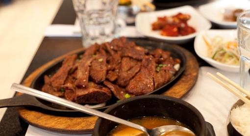 肉食动物吃肉不会恶心吗 就是爱吃肉
