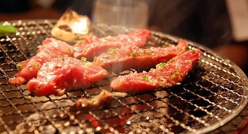 肉食动物吃肉不会恶心吗 就是爱吃肉