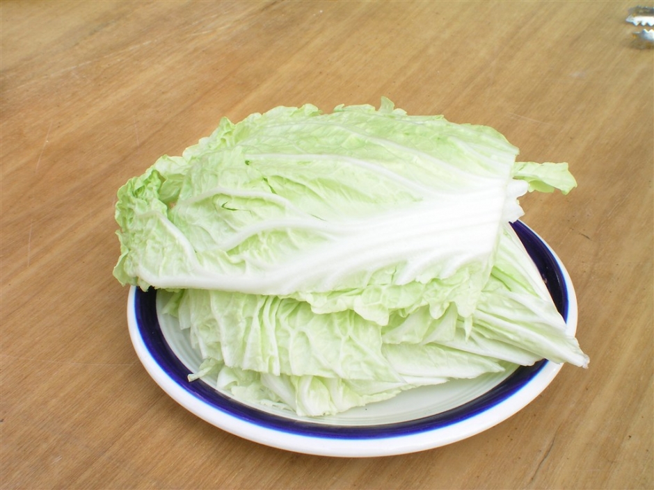 空心菜素材图片 美食素材家常菜去水印