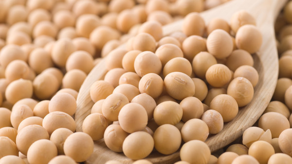 黄豆有哪些营养成分?黄豆作用与功效是什么?