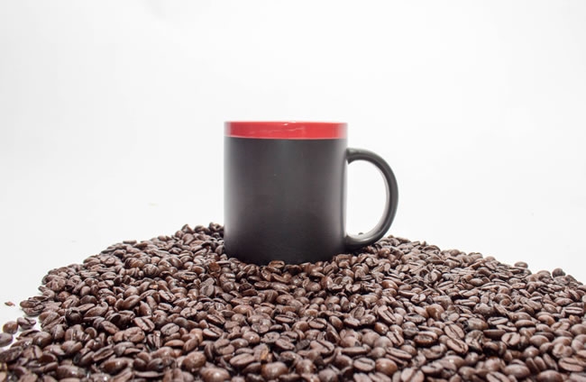 过滤咖啡豆的咖啡杯 适合手摇咖啡杯的咖啡豆