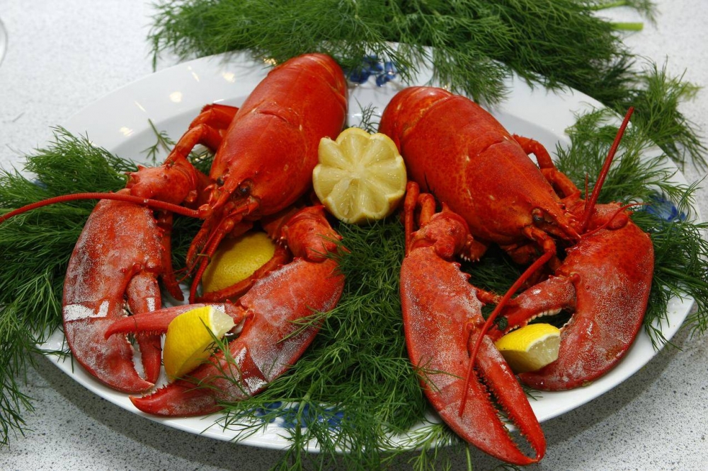 大龙虾海鲜大餐真实图片高清 美味海鲜大龙虾图片