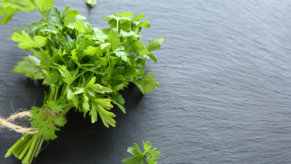 面条脂肪含量高吗？鲜面条不适合晚上吃