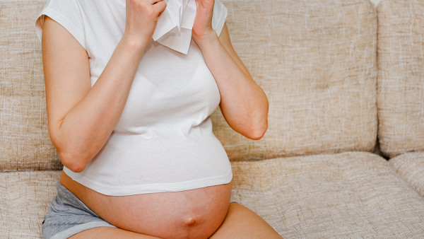 孕妇可以吃狗肉吗?怀孕吃狗肉到底好不好?