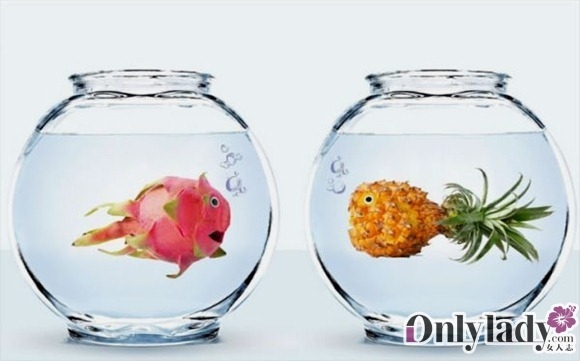 蔬菜大棚网红模仿秀最新 安徽蔬菜大棚模仿秀