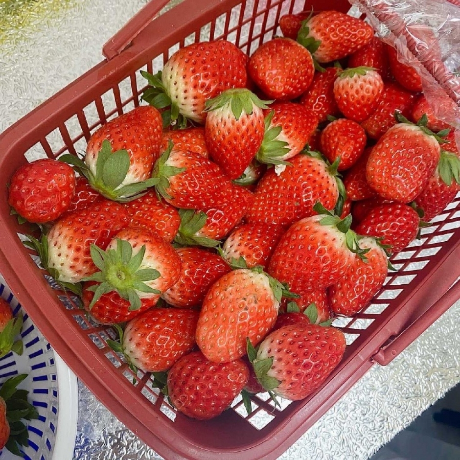 鲜草莓图片大全 鲜艳漂亮的草莓图片