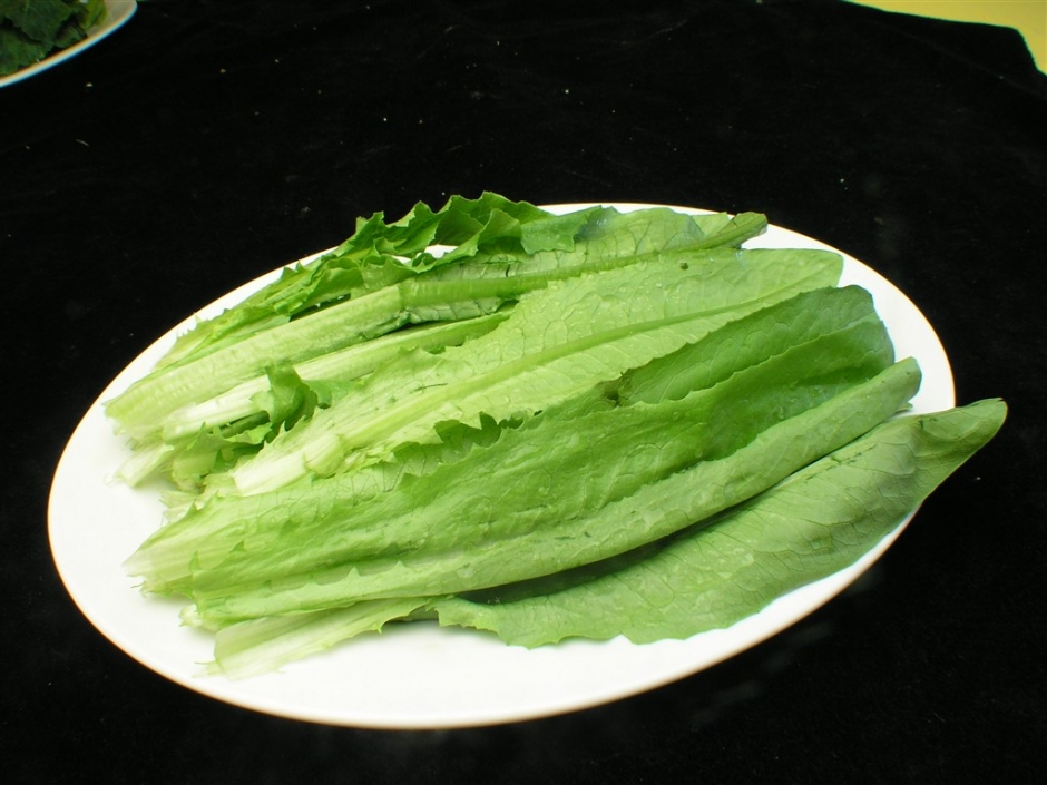 田园素食素材图片优麦菜E