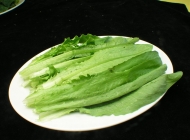 田园素食素材图片优麦菜E