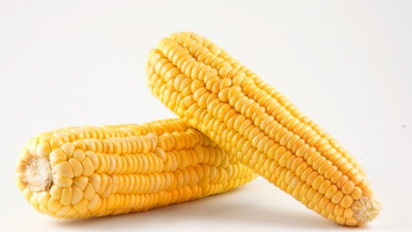 水果玉米煮多久就熟了？怎么判断玉米是否煮熟？