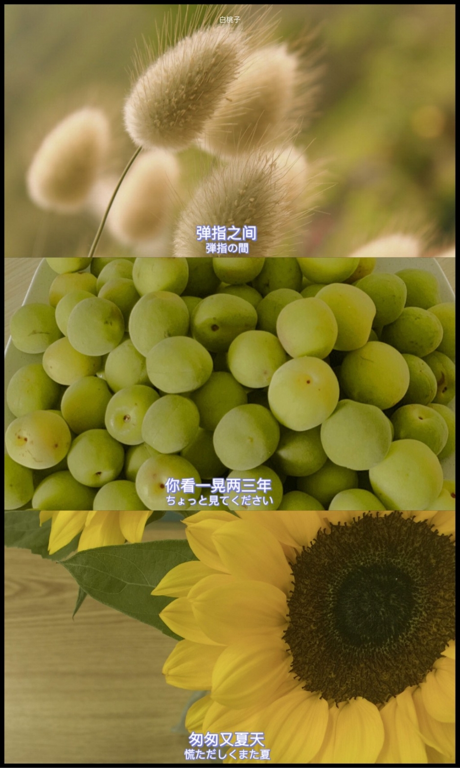 下午茶的花样图片大全 水果精美下午茶图片
