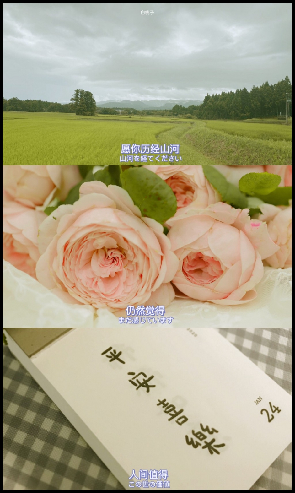 下午茶的花样图片大全 水果精美下午茶图片