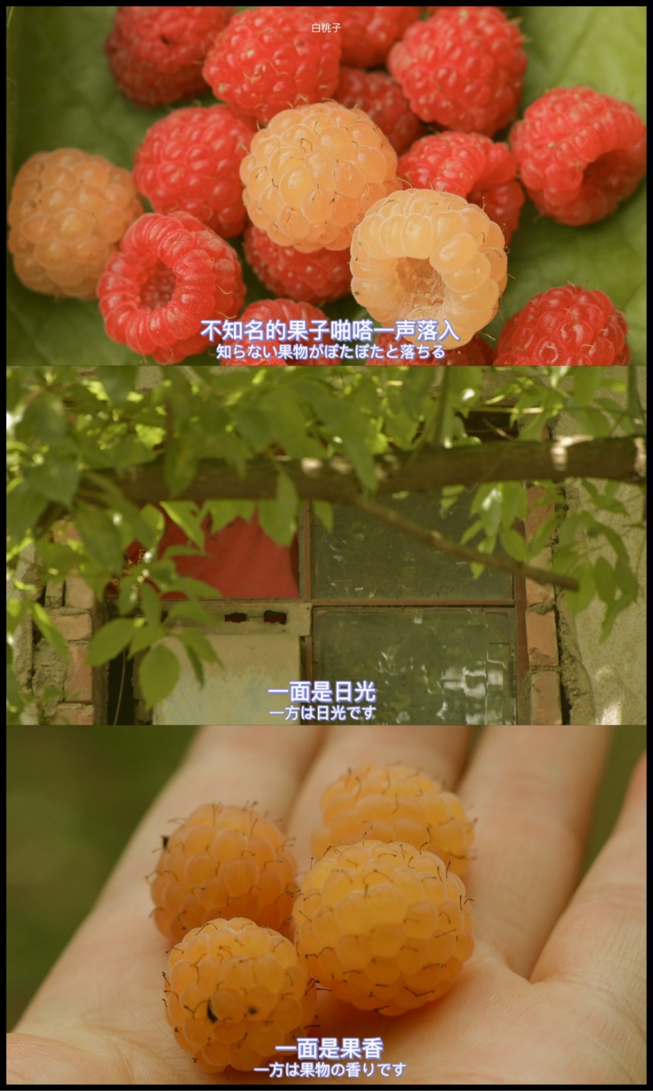 下午茶的花样图片大全 水果精美下午茶图片