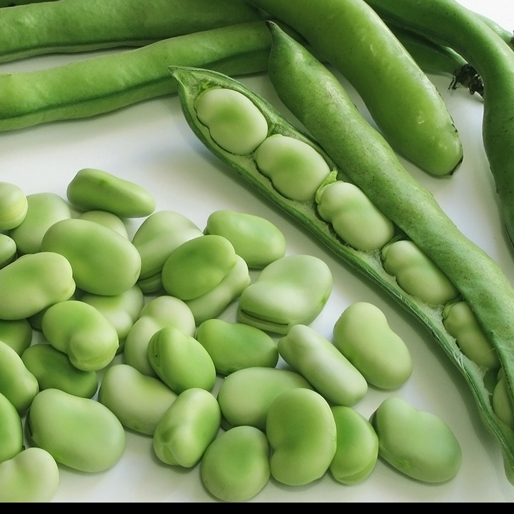 毛豆煮多久能熟又入味？多吃毛豆对女性有什么好处？