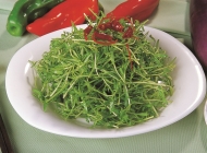 炝拌刀豆丝凉菜精装盘图片 黑醋拌凉菜的做法大全