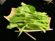 6张美食图片模板 家常菜美食图片素材库