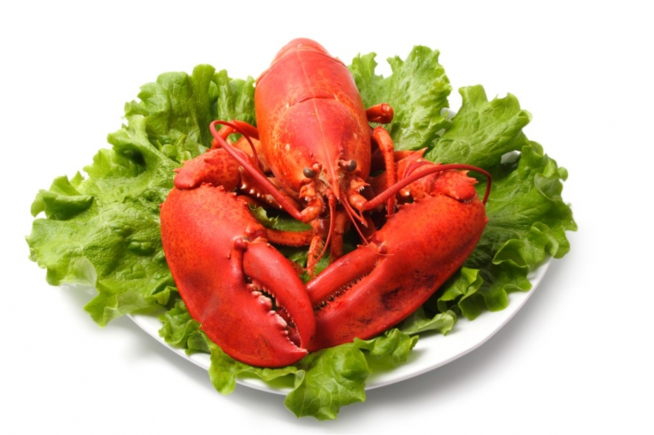 美味的大龙虾高清图片 美味大龙虾海鲜视频