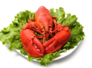 美味的大龙虾高清图片 美味大龙虾海鲜视频