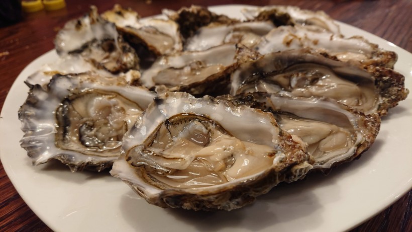 煮熟生蚝的做法视频 生蚝20种美味做法