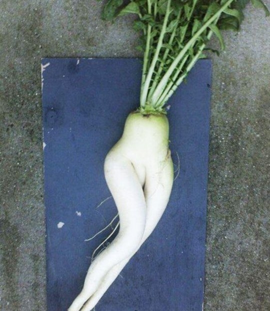蔬果男妖精 蔬菜植物妖精