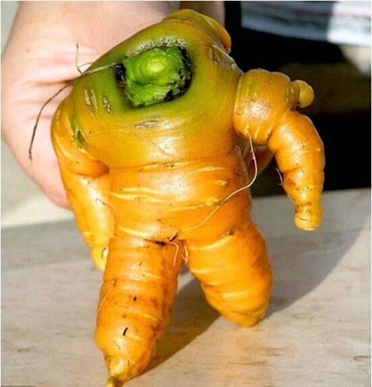 蔬果男妖精 蔬菜植物妖精
