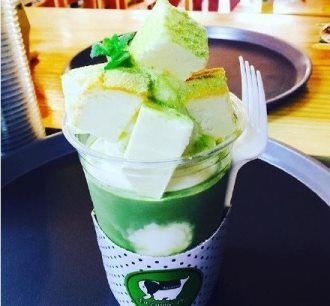 抹茶奶酪 抹茶奶酪做法